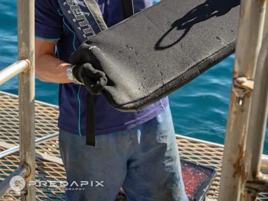 Scientists find new bite-resistant wetsuits can reduce shark bite injuries
