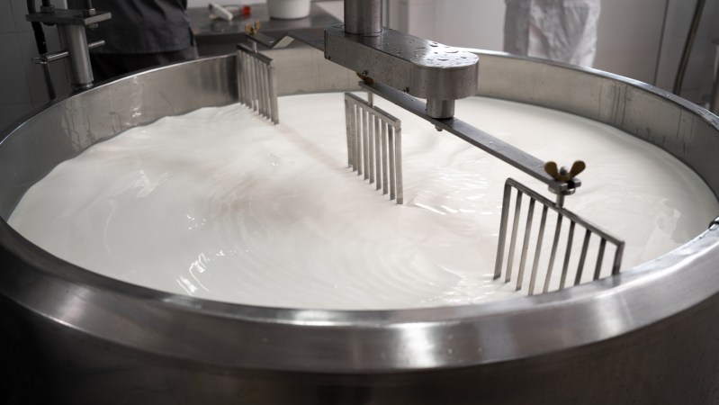 Pasteurization destroys H5N1 bird flu in milk