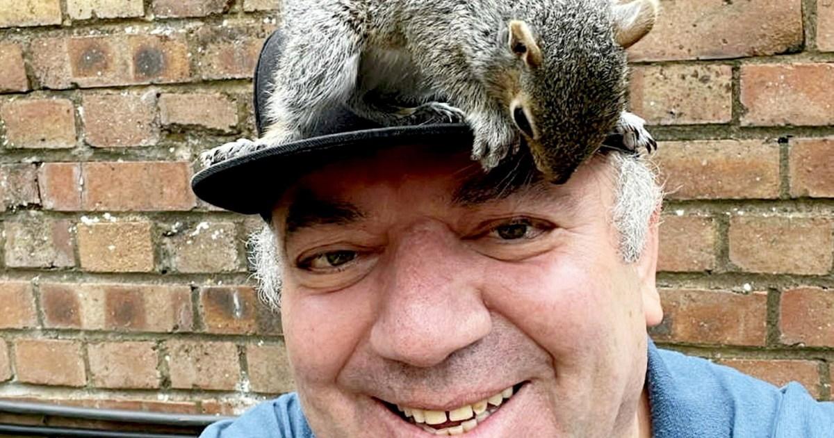 ‘He is my boy’: Man who saved injured squirrel says the pair are now inseparable
