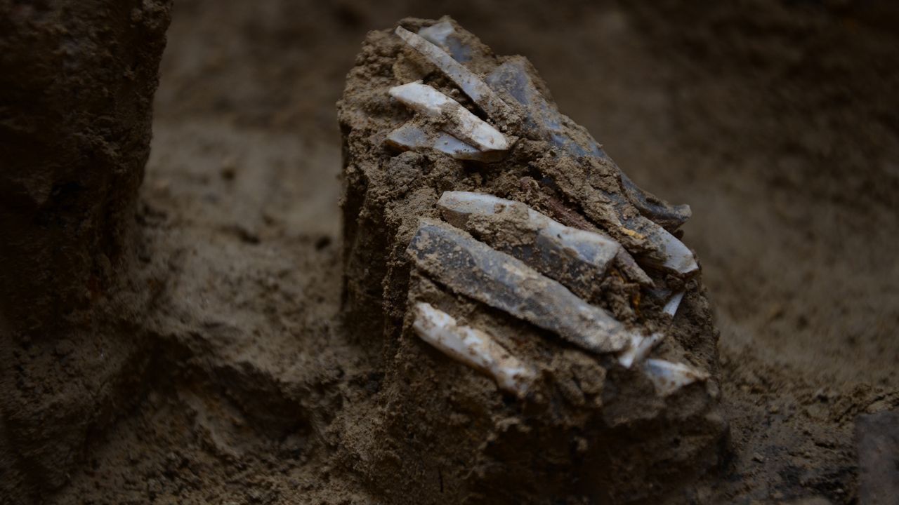 30,000-year-old ‘personal toolkit’ found in the Czech Republic provides ‘very rare’ glimpse into the life of a Stone Age hunter-gatherer