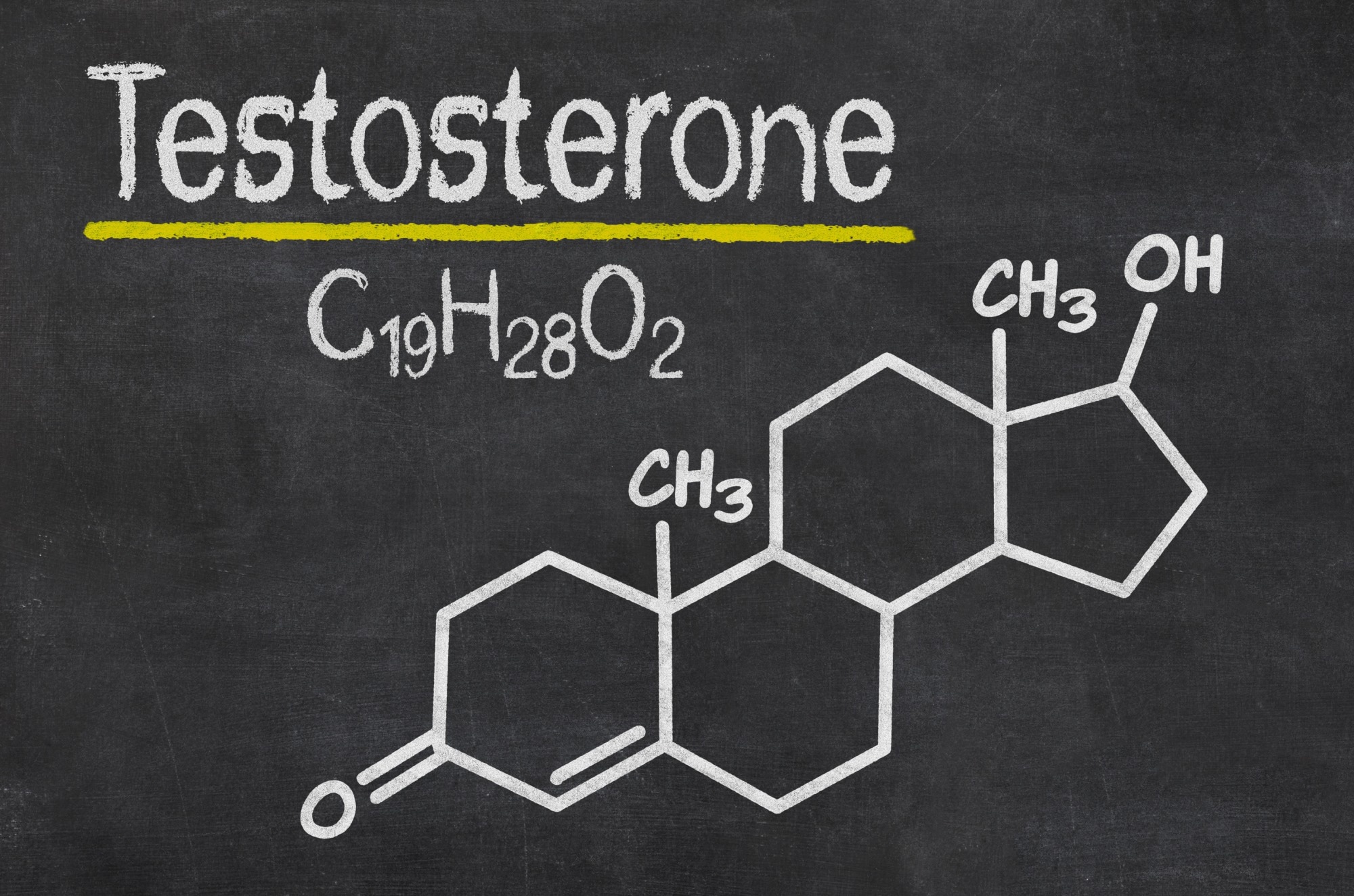 Testosterone fails to influence risk-taking or fairness in men
