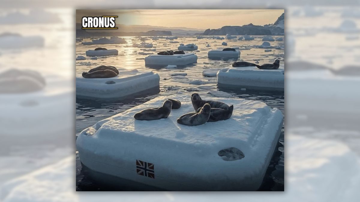 Has Norway created artificial ice pods for Arctic seals to replace their vanishing habitat?