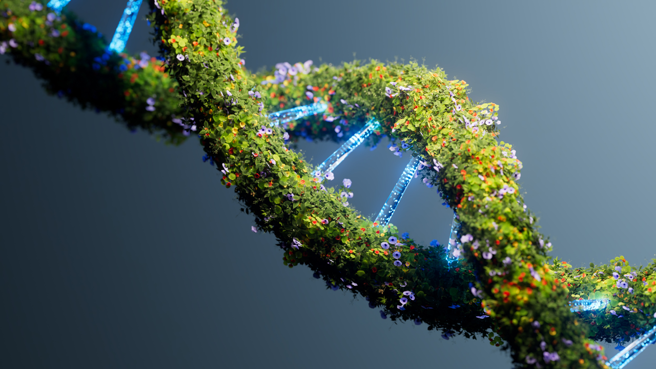 How long does DNA last?