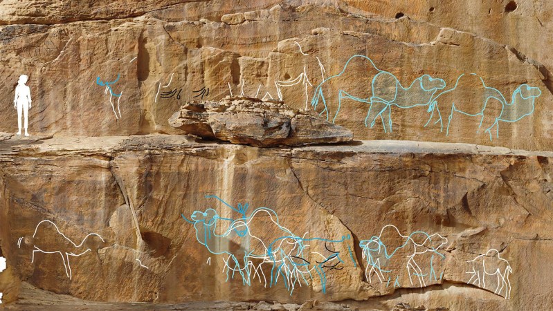 12,000-year-old rock art hints at the Arabian Desert’s lush past