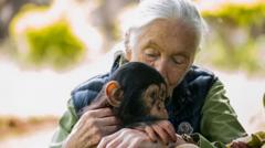 Dame Jane Goodall remembered as a ‘true hero for the planet’