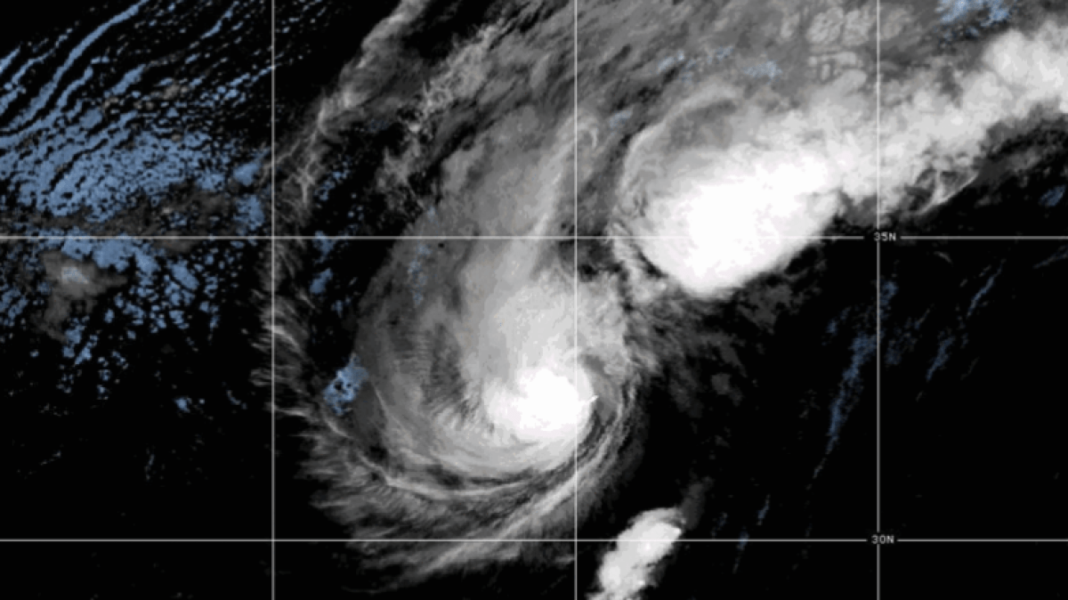 Schools and airport shut as Hurricane Imelda moves over Bermuda