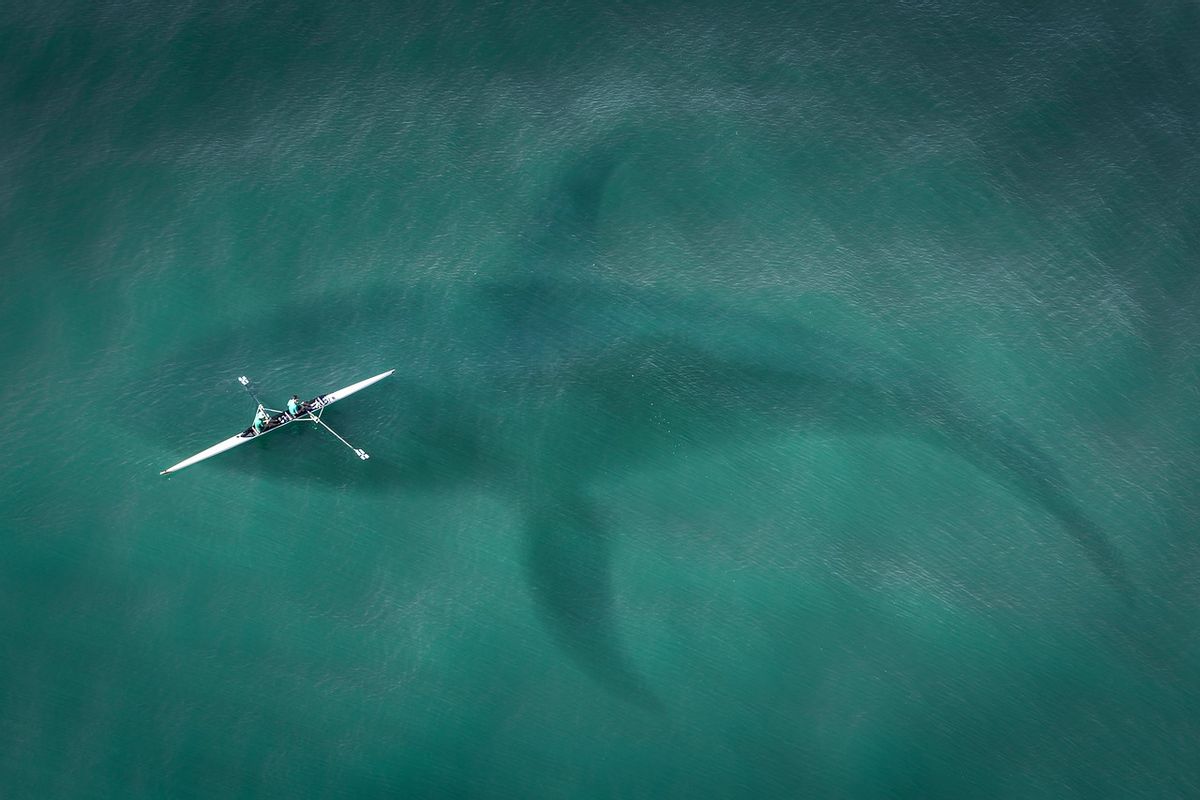 65-Foot ‘Kodiak Sharks’ Have Been Discovered in Lake Michigan?
