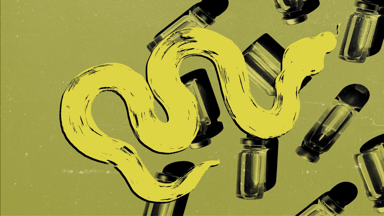 Scientists could soon create a ‘universal antivenom.’ But would it save lives?