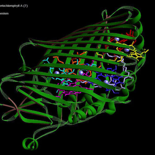 Do AI-designed proteins create a biosecurity vulnerability?
