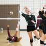 Running on empty: Food insecurity among student athletes