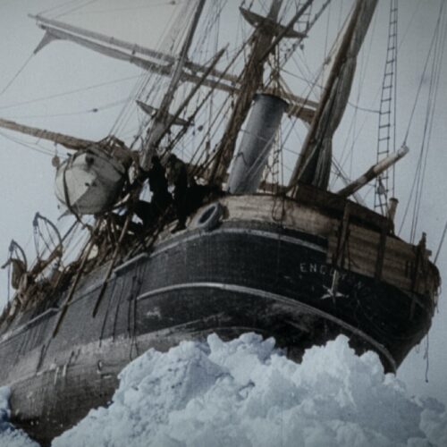 Here’s the real reason Endurance sank