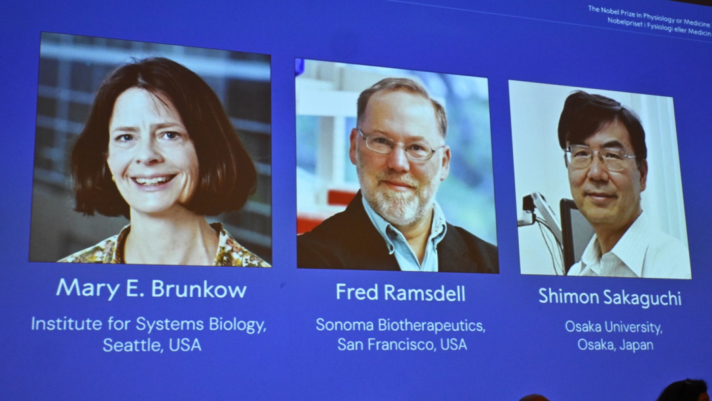 The medicine Nobel Prize goes to 3 scientists for work on peripheral immune tolerance