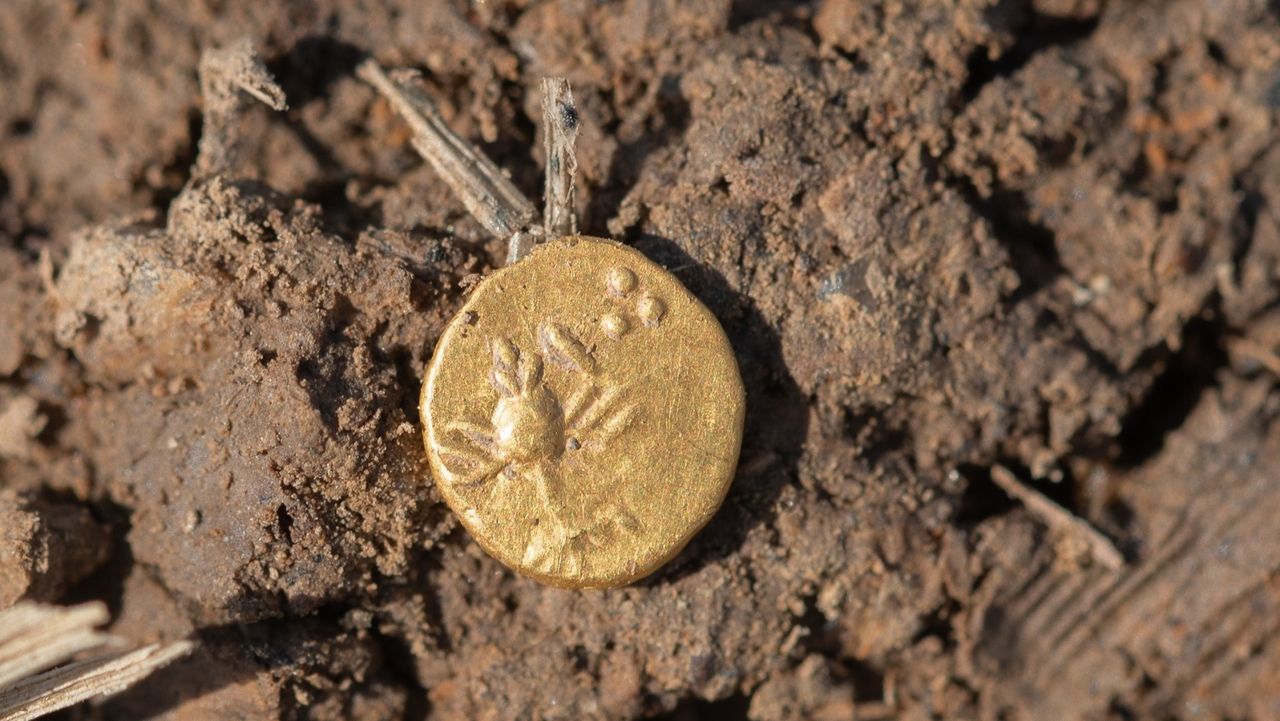 Hundreds of ancient gold and silver coins from possible Celtic market found in Czech Republic