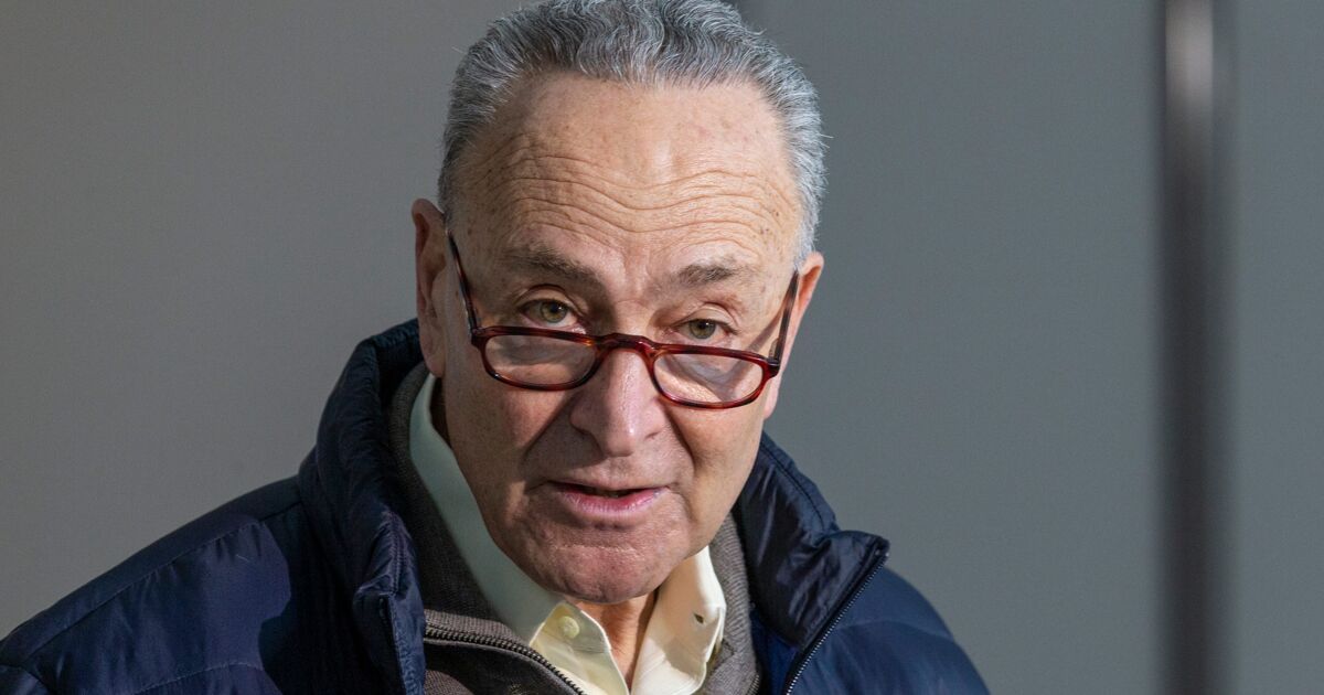 Chuck Schumer just agreed with Marjorie Taylor Greene & can’t contain his own shock