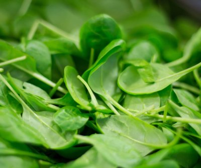 USDA warns of potential listeria contamination in HelloFresh meals