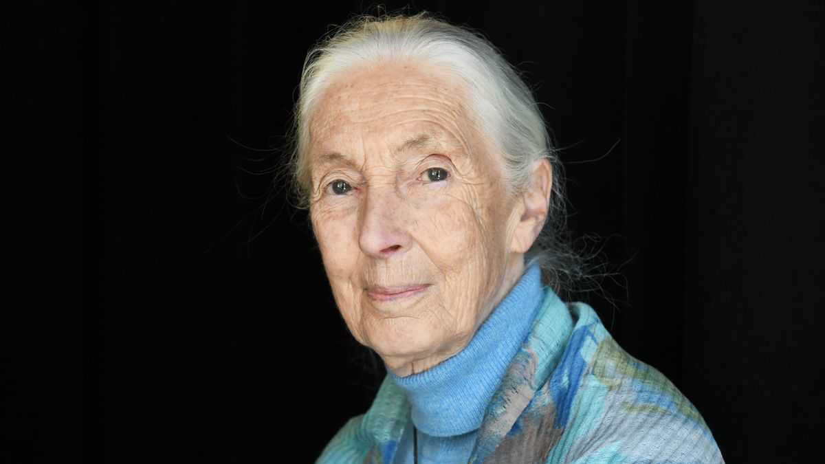 Jane Goodall said she’d like to put Trump, others ‘on one of Musk’s spaceships’