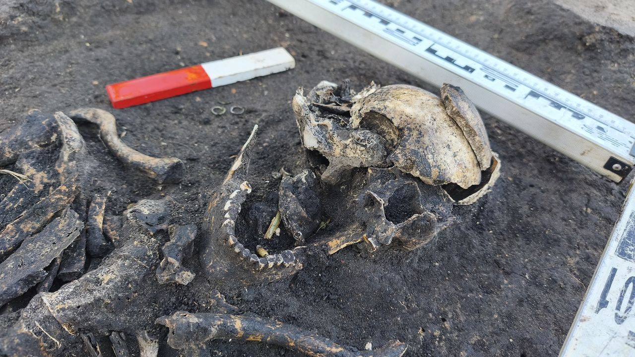 1,000-year-old burials of ‘first Christians’ in Poland discovered near medieval settlement
