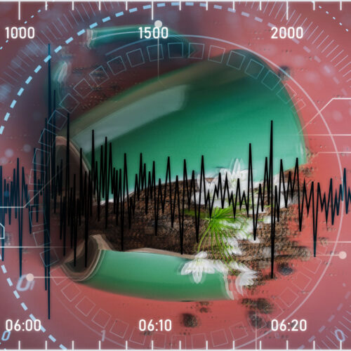 “Like putting on glasses for the first time”—how AI improves earthquake detection