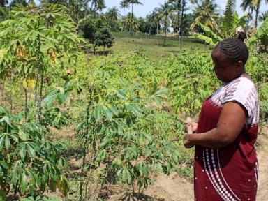 In Kenya, a search for links between a changing climate and mental health