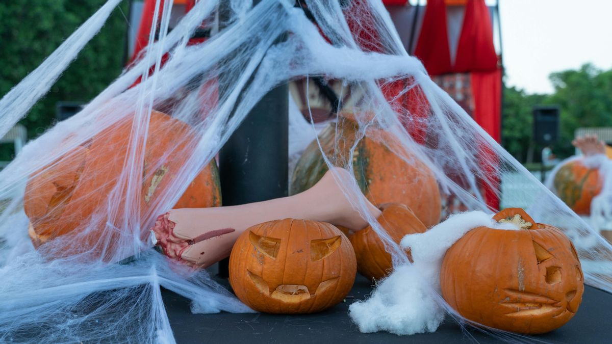 Outdoor decorative spider webs can be threat to wildlife?
