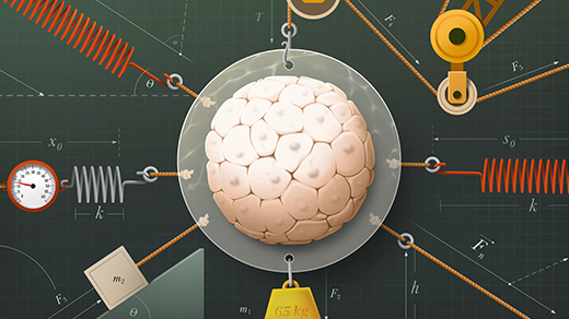 Genes Have Harnessed Physics to Help Grow Living Things