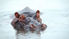 South Africa debates changing name of world-famous Kruger park