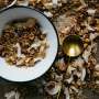 Q&A: How does processed fiber impact human health?