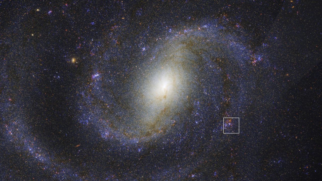 Hidden ‘doomed’ star revealed by James Webb Space Telescope could solve decades-old mystery