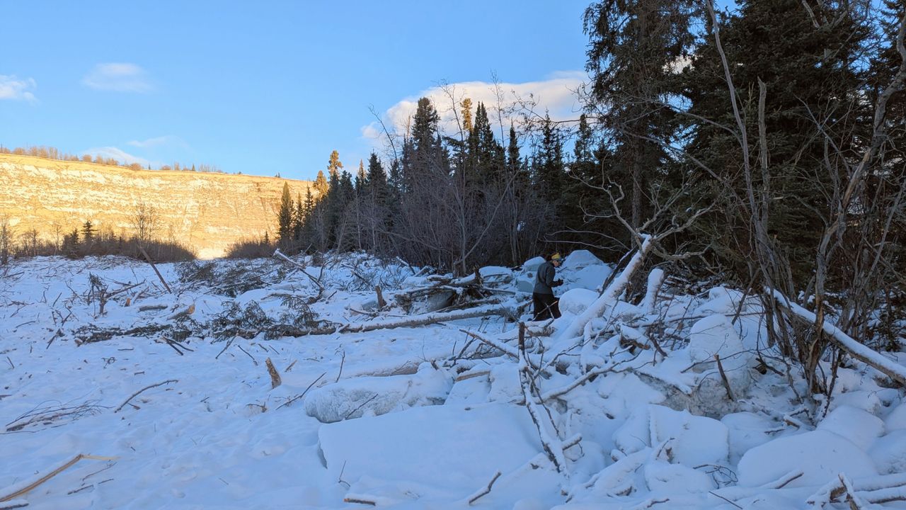 An ‘ice tsunami’ in 2024 ripped through the Yukon with such force it tore up trees and the riverbed