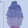 using-clinical-guidelines-as-a-lever-for-more-equitable-health-care