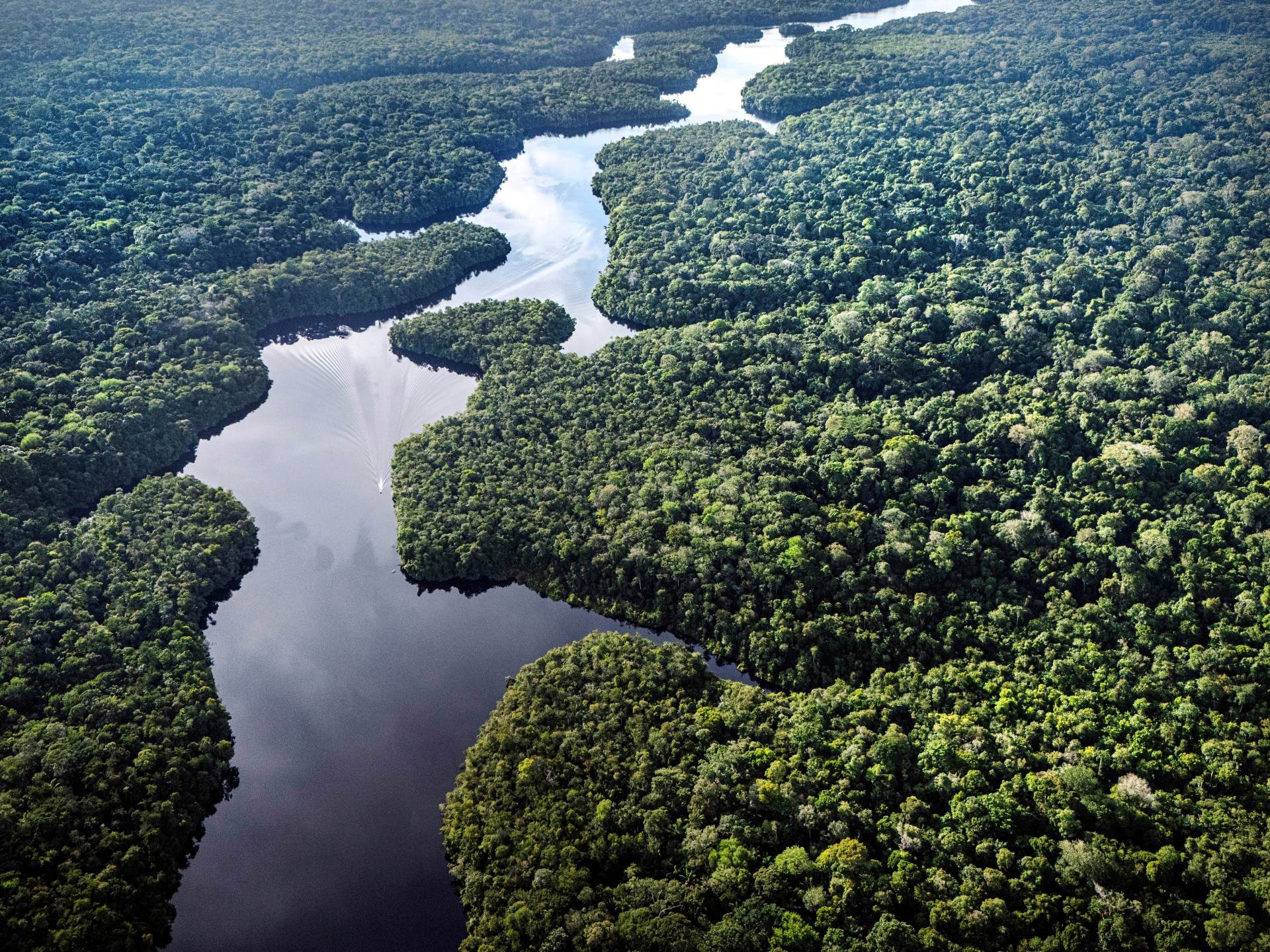 Is your beef linked to Amazon deforestation? A report highlights loopholes