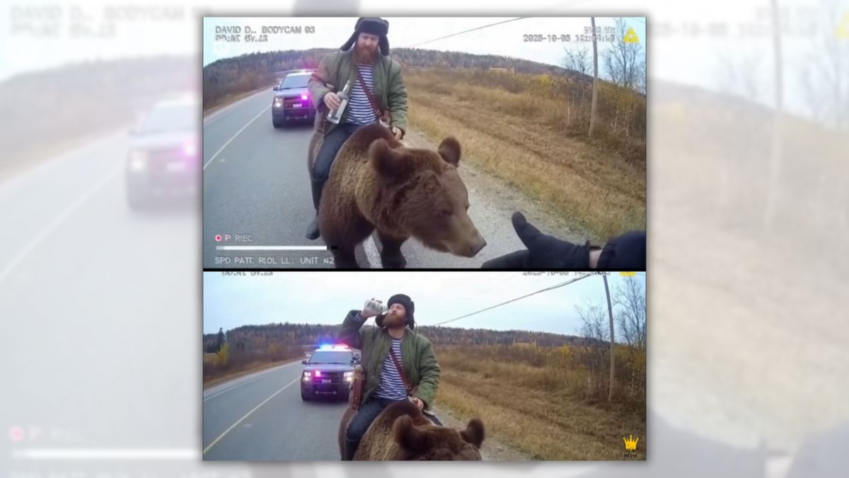 Wyoming man got DUI while riding bear?