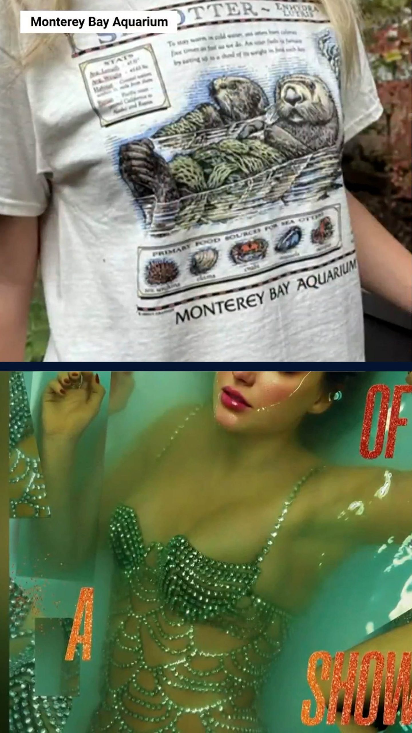 Swifties raise $2 million for Monterey Bay Aquarium