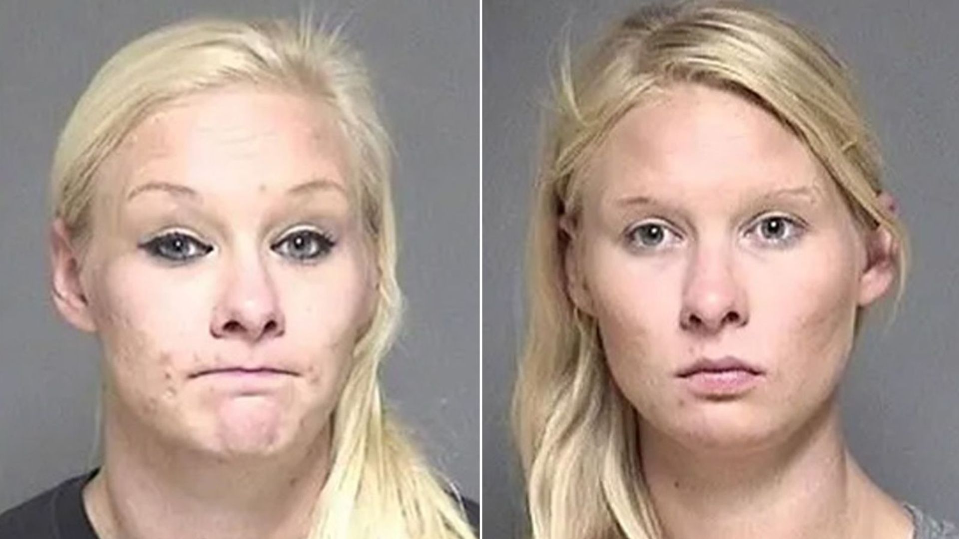 Twin who allegedly urged sister to take fall for deadly Amish buggy crash is jailed for four years
