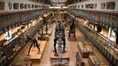 Woman charged after 1.5m euros of gold stolen from Paris museum