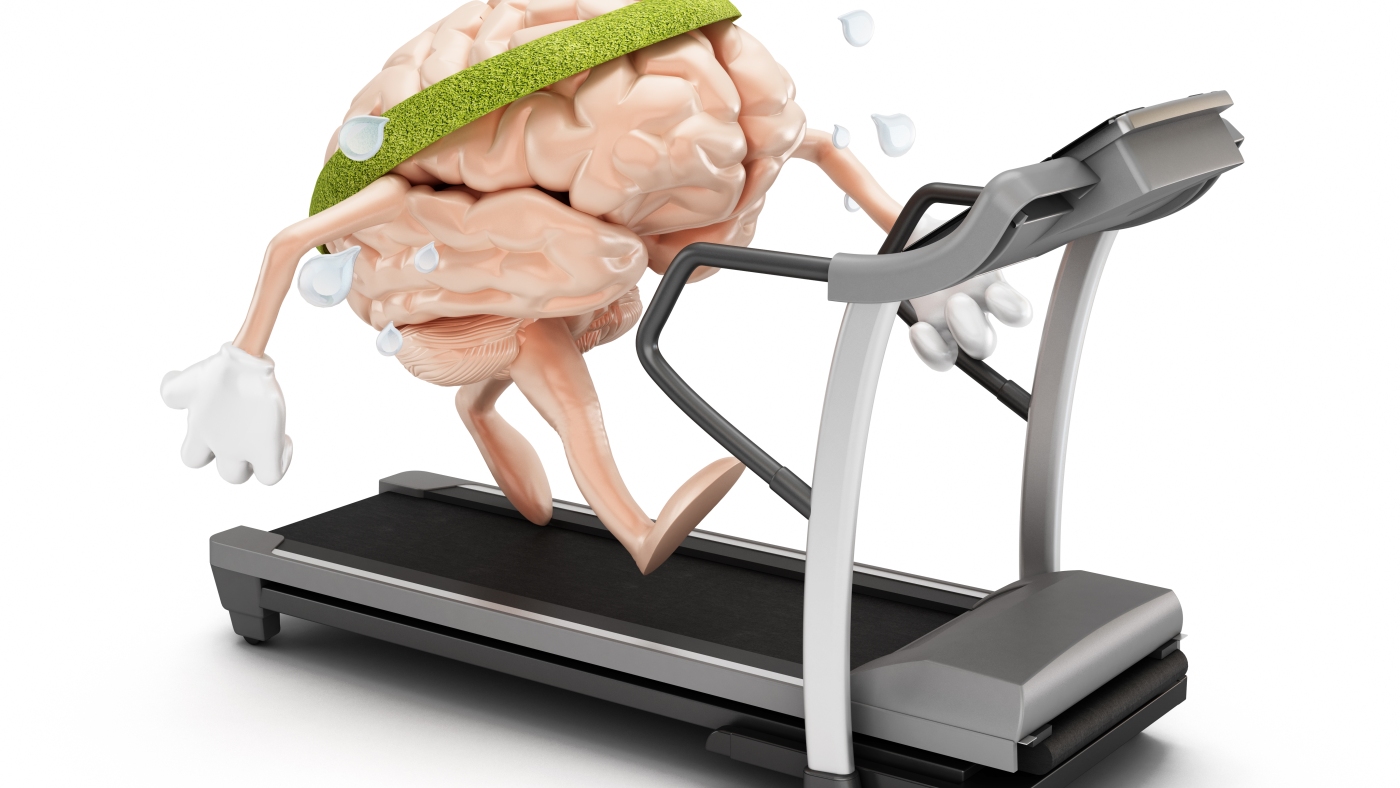 Mental exercise can reverse a brain change linked to aging, study finds