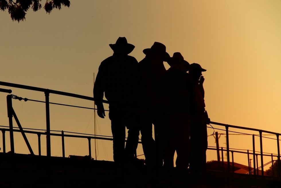 Ranchers issue blistering reply to president: ‘Cattlemen can’t stand behind Trump’
