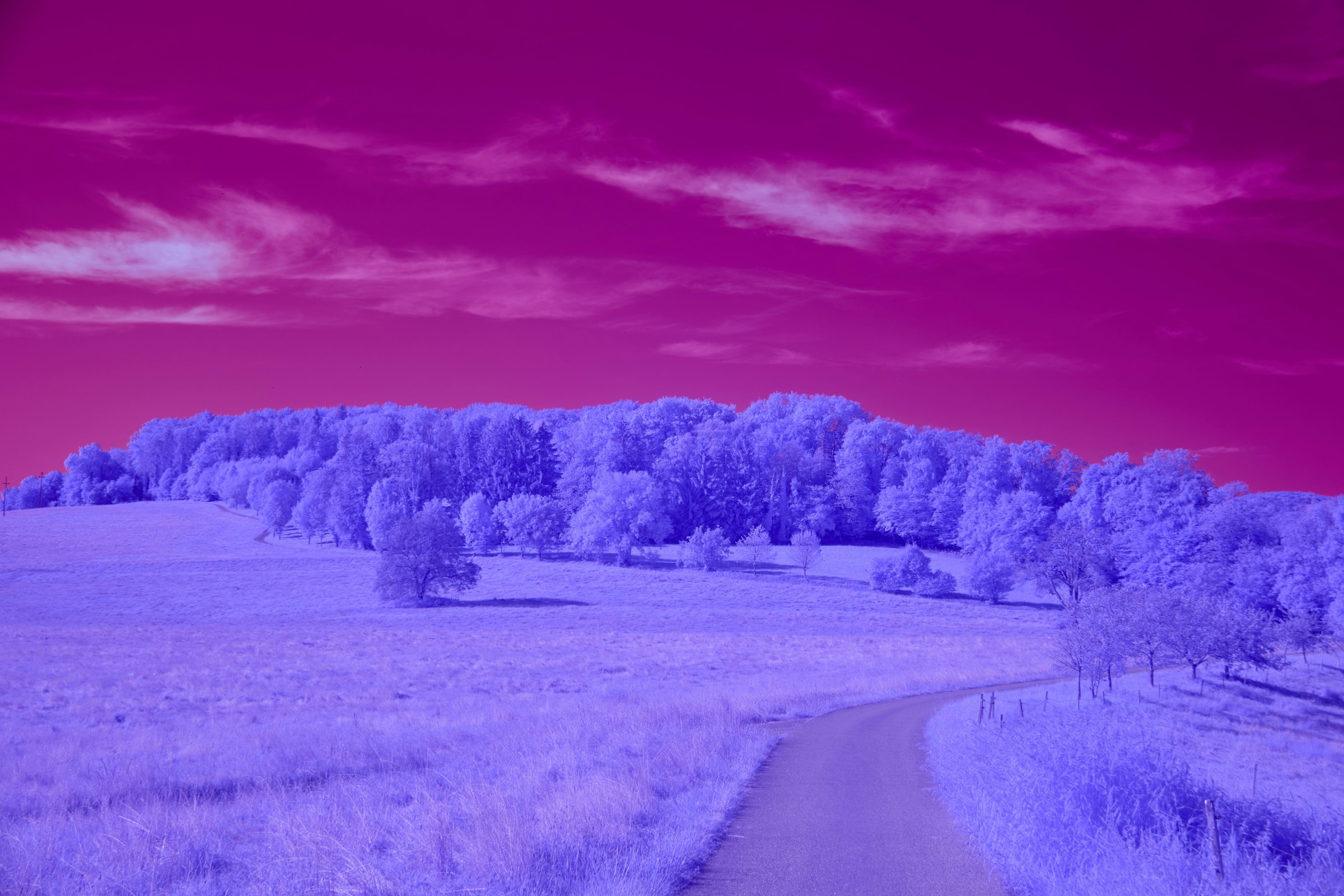 How to curb hallucinations in Copilot (and other genAI tools)