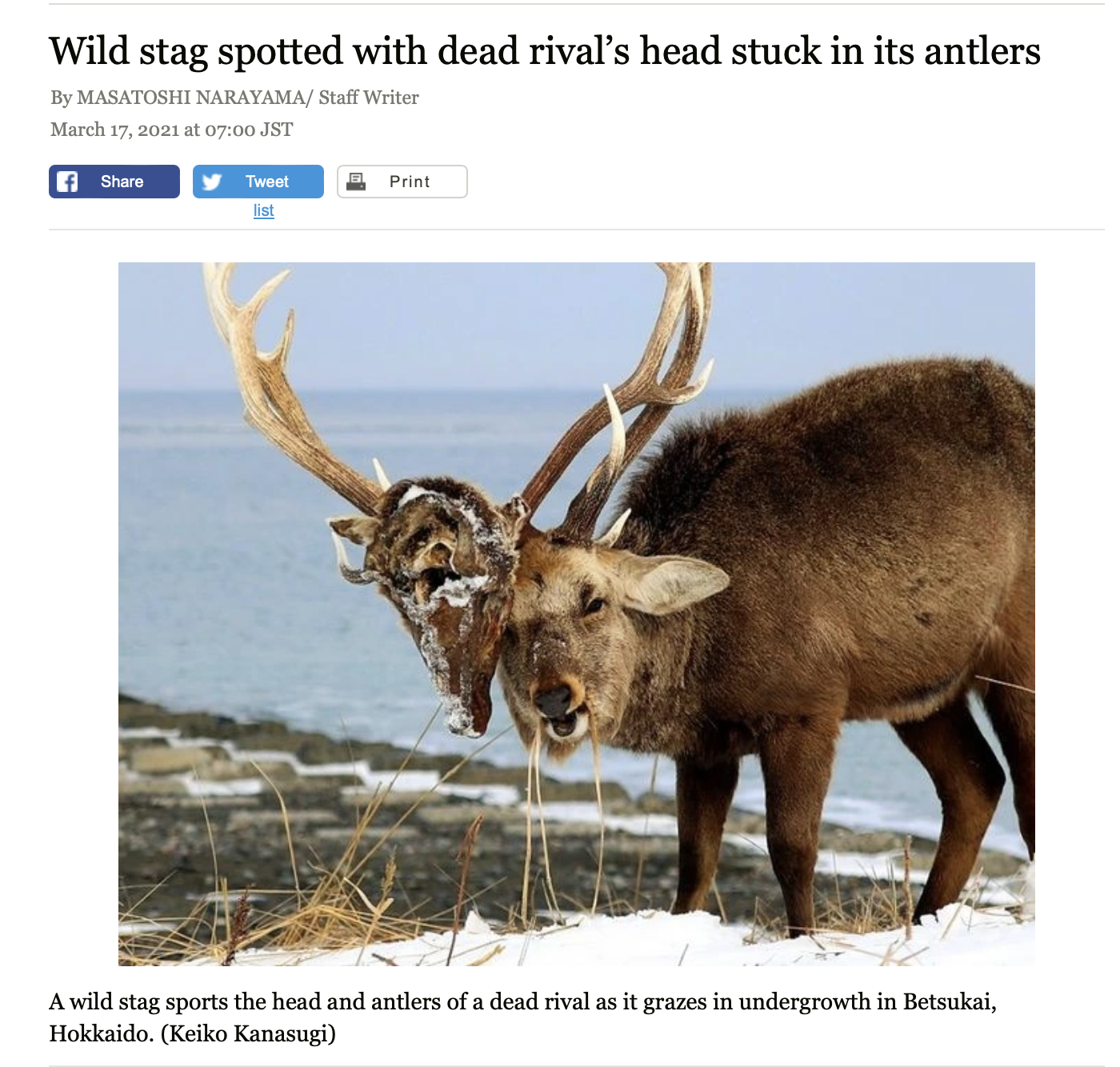 Two Heads Are Better Than One?