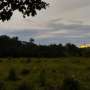 Malaria risk in the Amazon found to be higher in regions with intermediate forest degradation
