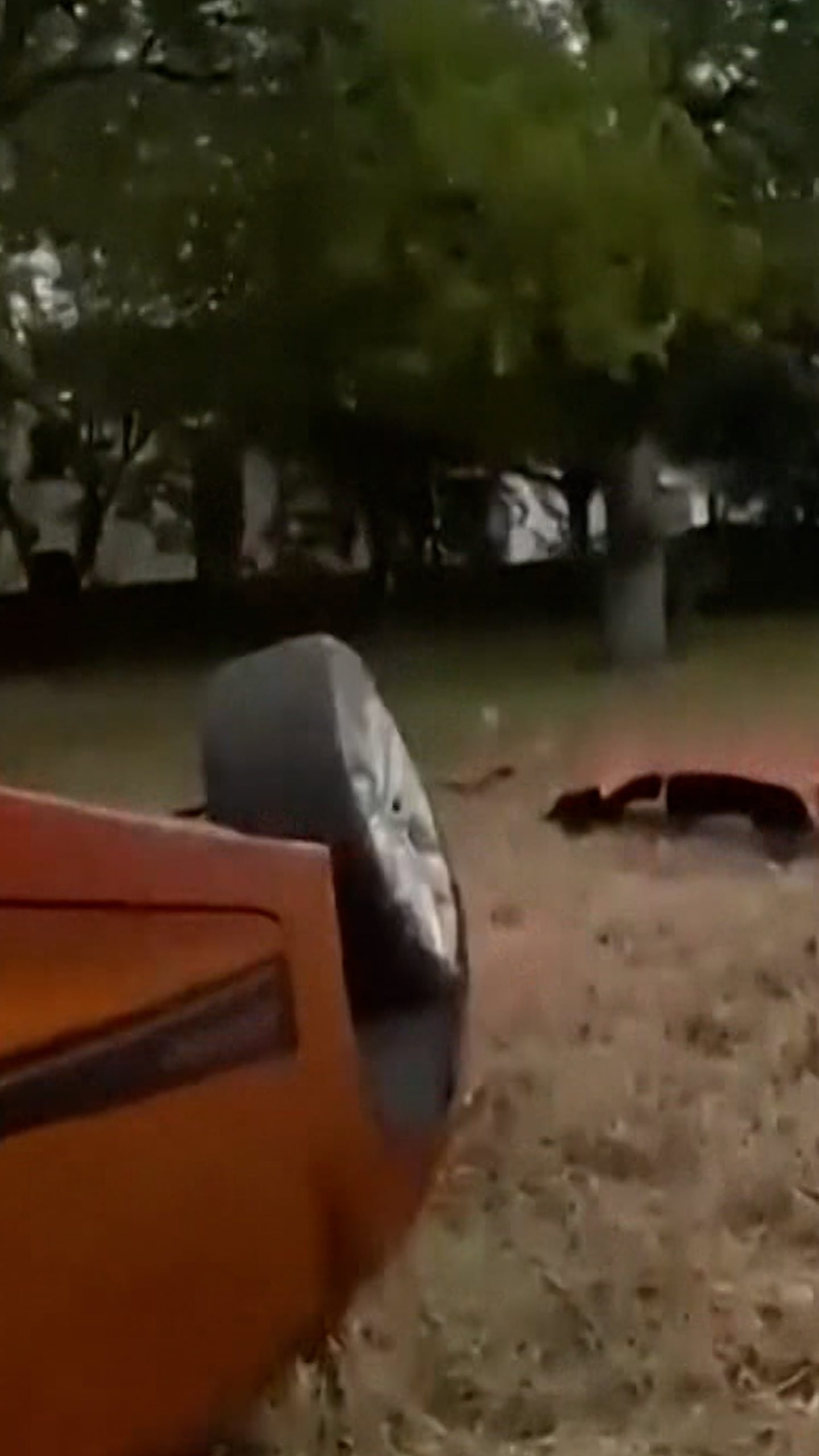 Video shows baby rescued from beneath overturned car