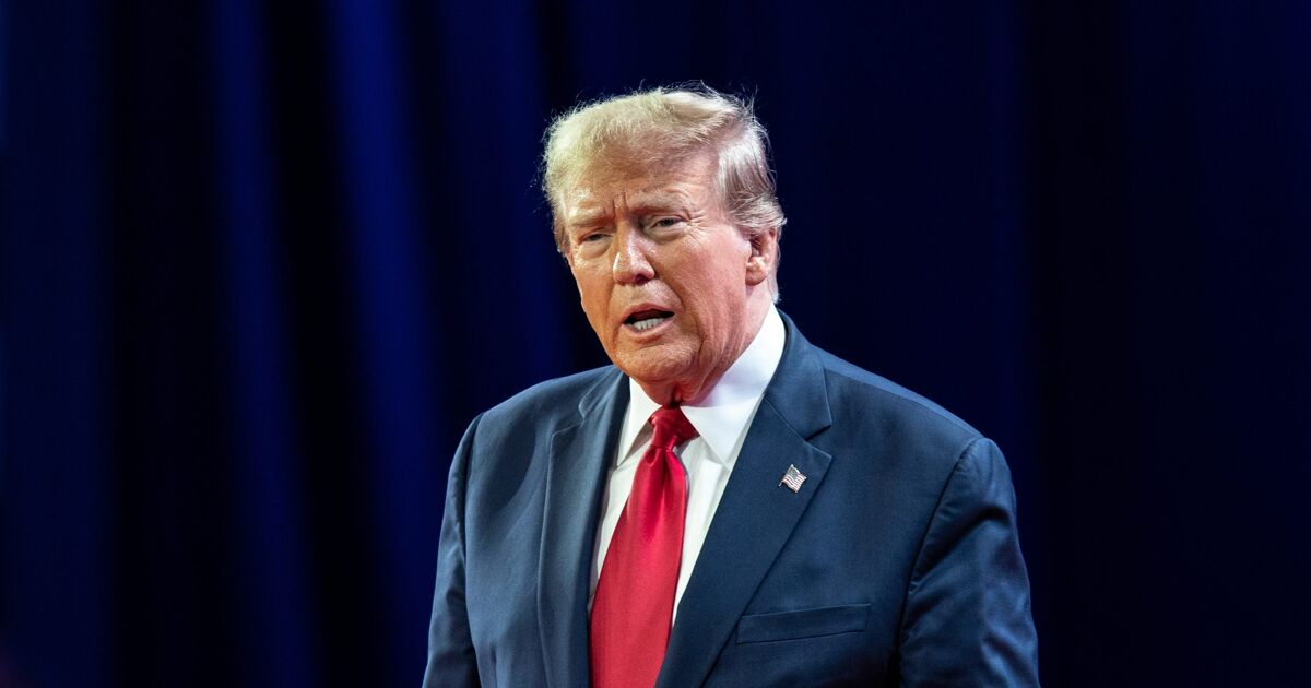 Political expert says the resistance has gained momentum: “Furious” Americans have had enough