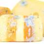 Why you can salvage moldy cheese but never spoiled meat: A toxicologist advises on what to watch out for