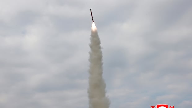 North Korea says it test-fired cruise-missiles hours ahead of Trump’s arrival in South Korea