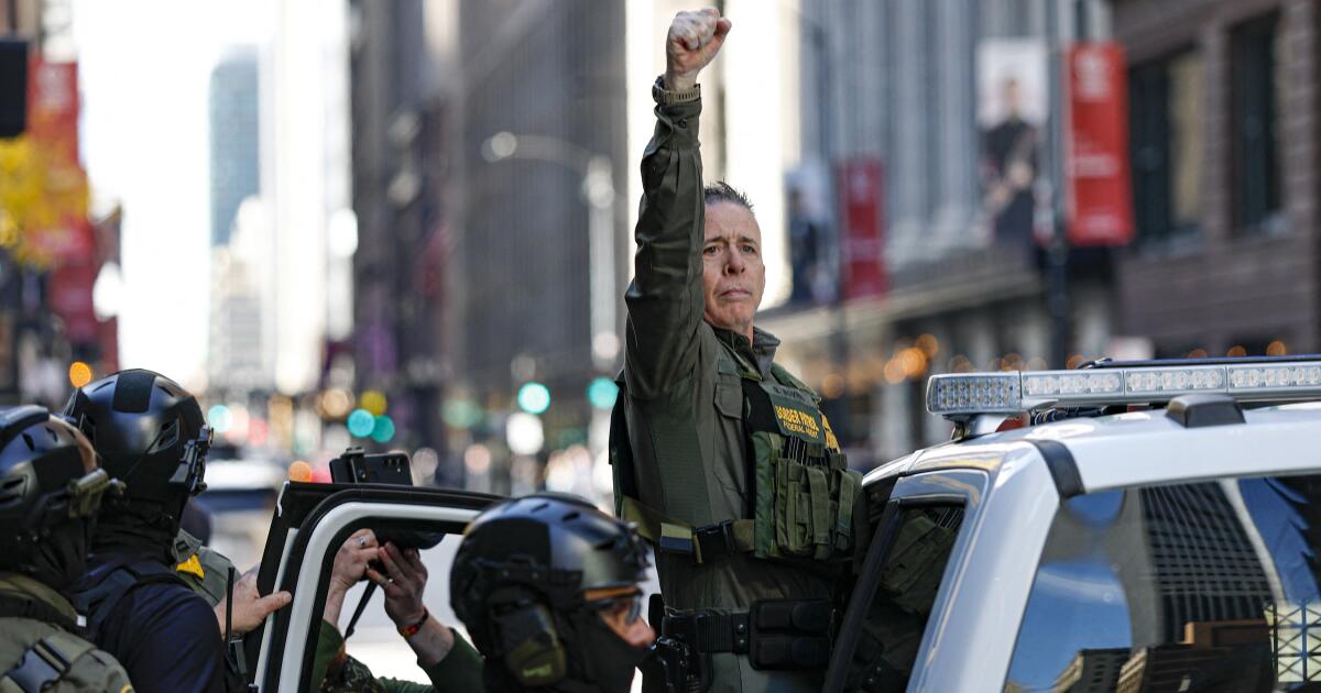 What makes a rebellion? Trump’s troop deployment may hinge on one man’s dictionary