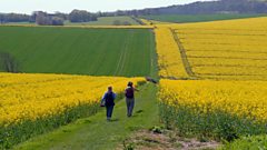Longer Daily Walk Better for Heart Health, Says Study