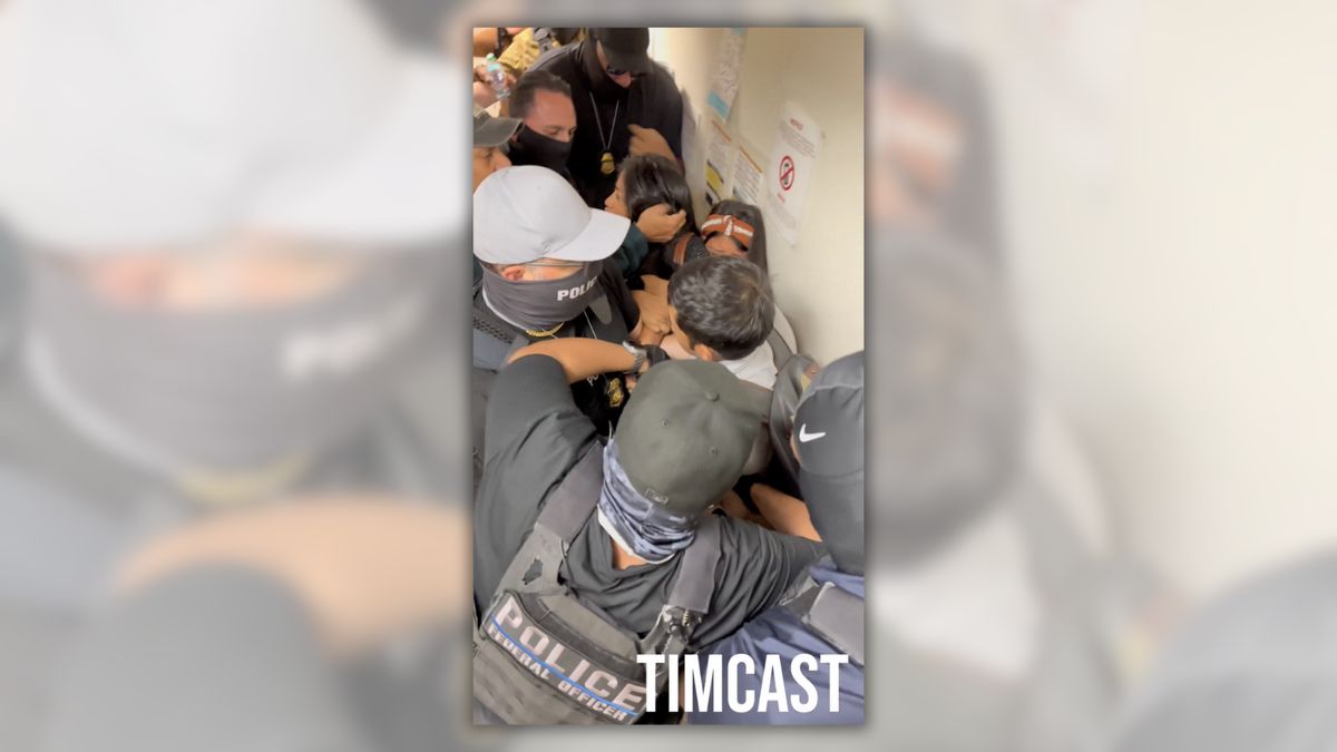 Video showing woman pushed to ground during ICE arrest wasn’t filmed at Chicago school