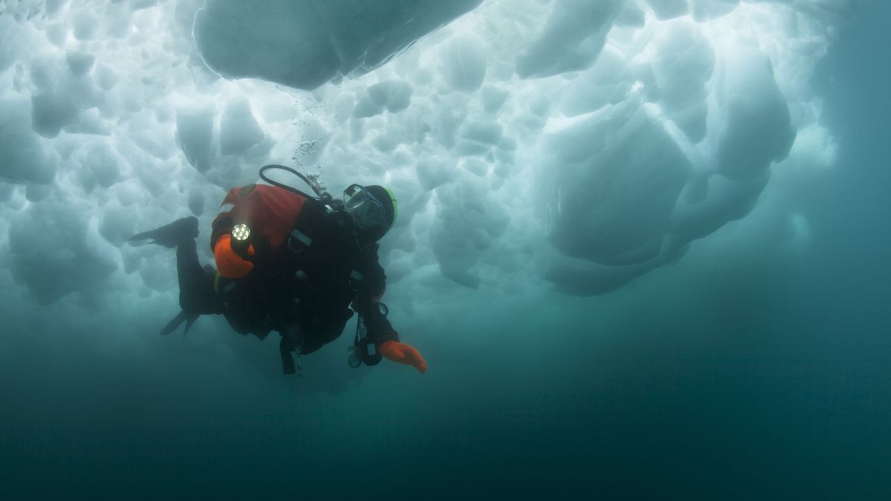 The Bering Land Bridge has been submerged since the last ice age. Will scientists ever study it?