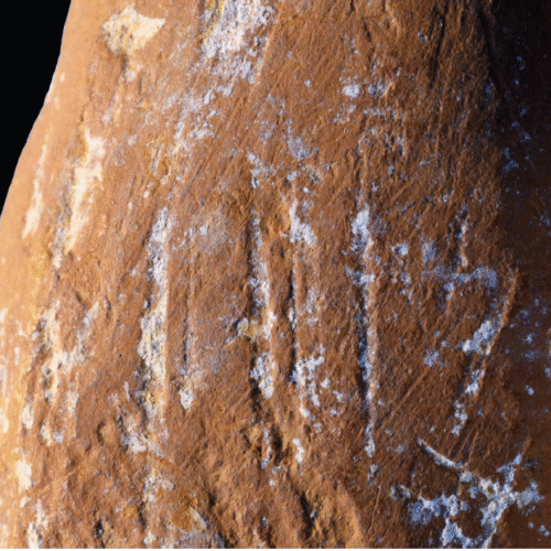 Wear marks suggest Neanderthals made ocher crayons