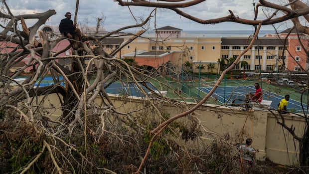 Jamaicans rush to ready island for busy tourism season in wake of Hurricane Melissa